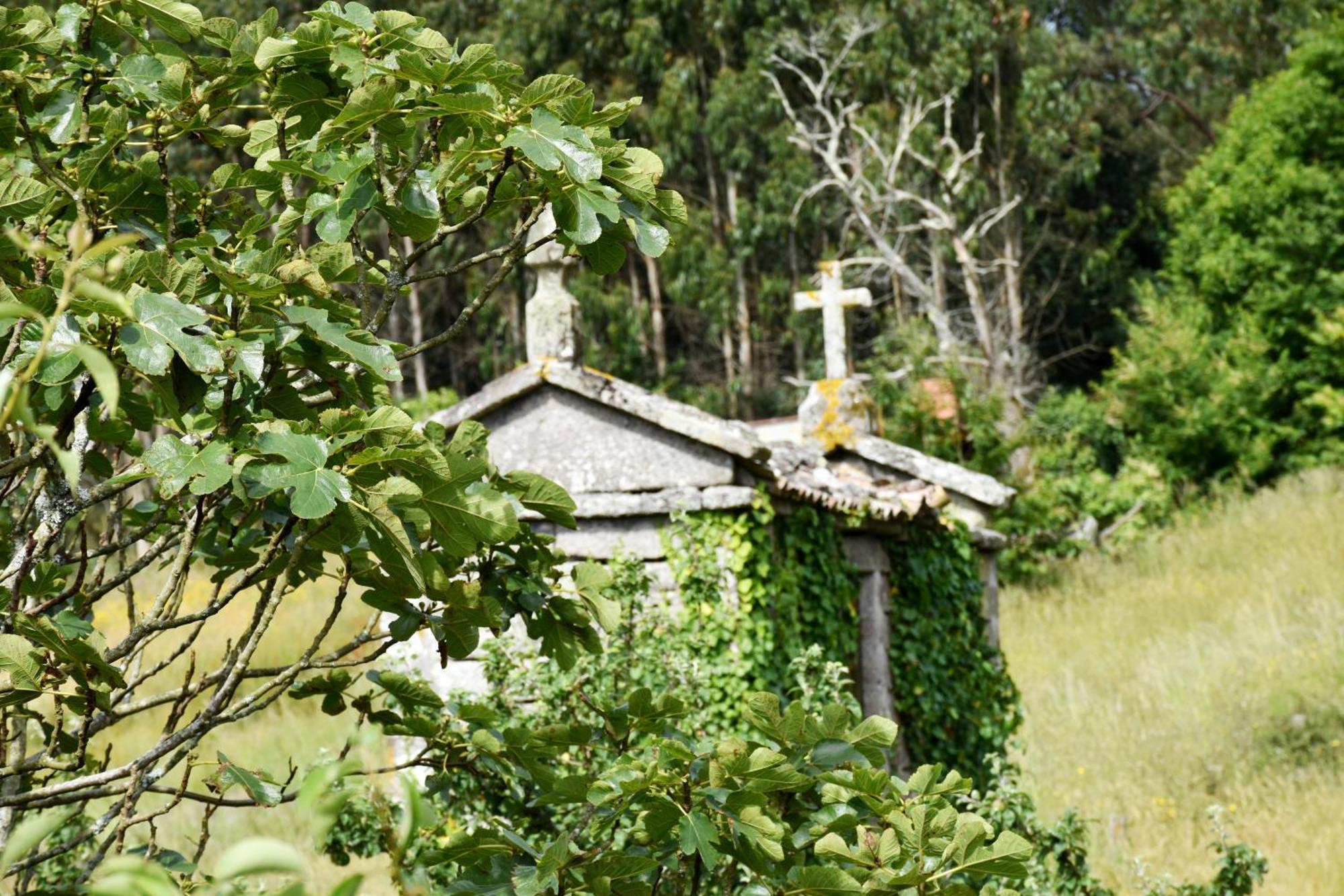 Casa Cal Da Rosins Villa Muxia Ngoại thất bức ảnh